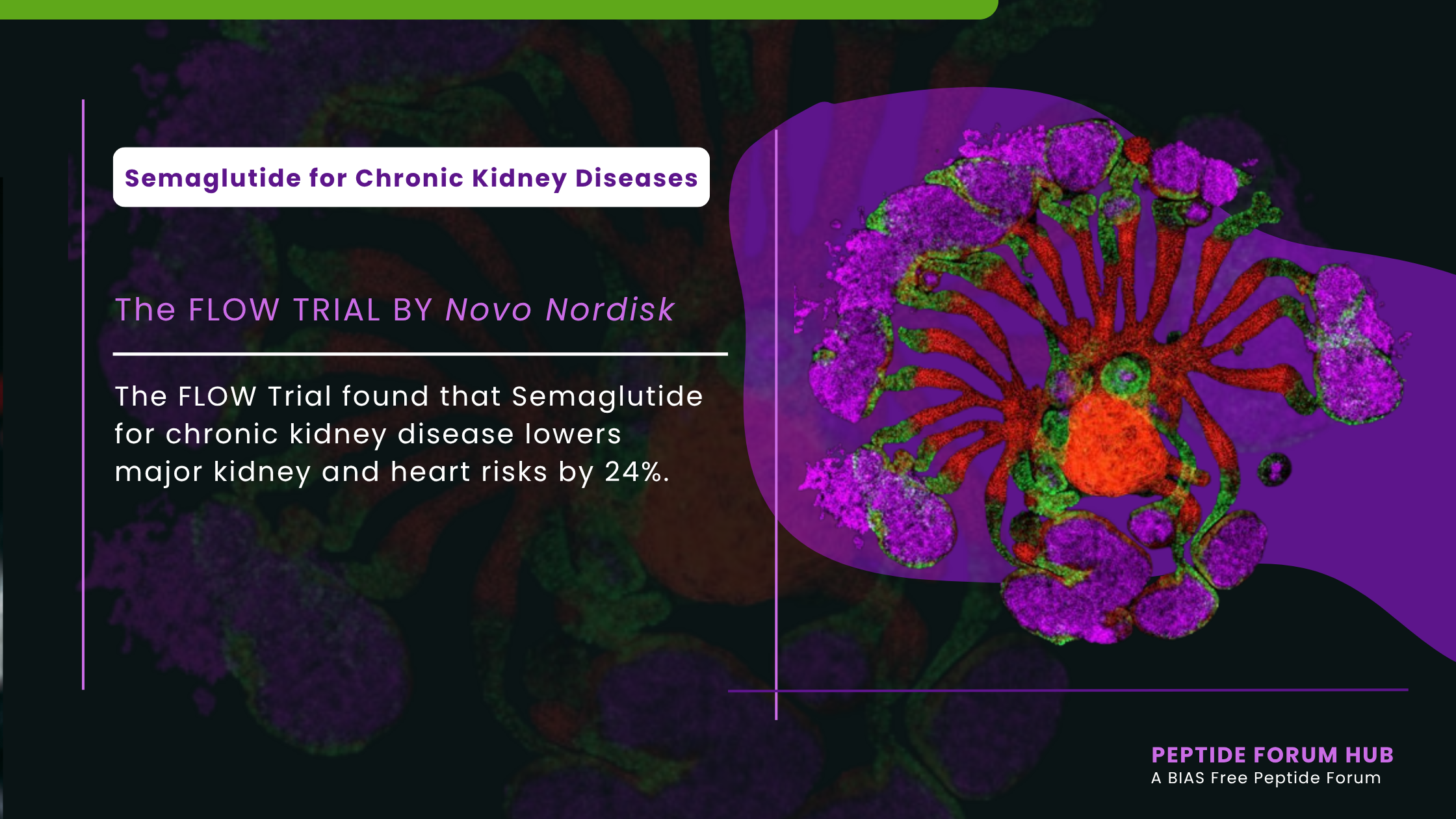 Semaglutide for Chronic Kidney Diseases